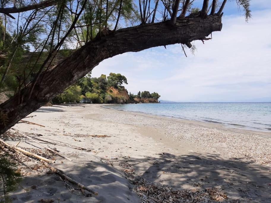 Traditional House At Koroni Near Beach Luaran gambar